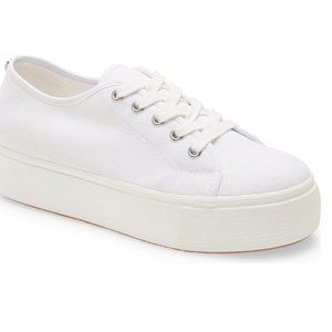 Steve Madden Sneakers